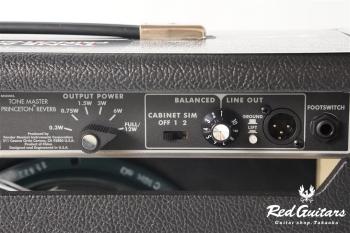 TONE MASTER PRINCETON REVERB